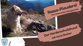 RassePlauderei über Herdenschutzhunde mit Anne Bucher [upl. by Stirling431]