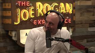 Joe Rogan Experience 1743  Stephen Pinker [upl. by Bikales]