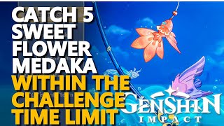 Catch 5 Sweet Flower Medaka within the challenge time limit Genshin Impact [upl. by The696]