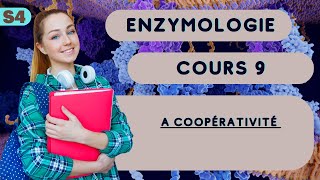 enzymologie S4 la coopérativité cour SVI [upl. by Breech]