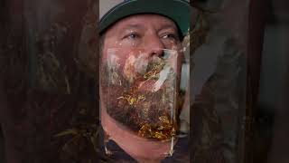 Bert Kreischers Inspirational Booze Speech [upl. by Chew]