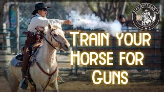 Bombproof you horse Gun Training amp Desensitization for horses [upl. by Sefton]