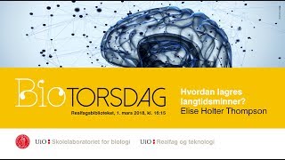 BIOtorsdag Hvordan lagres langtidsminner [upl. by Harper]