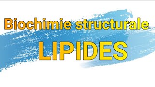 LIPIDES [upl. by Helas]