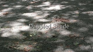 Quick Tip 123  Dappled Shade [upl. by Morganne]