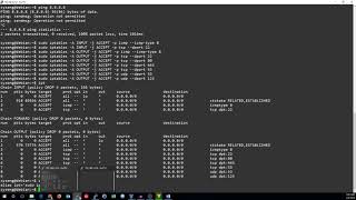 iptables traffic basics [upl. by Ayhdiv]