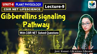 GIBBERELLIN SIGNALING PATHWAY  PHYTOHORMONEPART9 CSIR NETPLANT BIOLOGY [upl. by Sualohcin347]