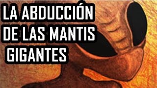 La abducción de las mantis gigantes [upl. by Amyaj]