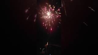 Pool Party 500 Gram Firework by Bright Star fireworksdisplay fireworksfestival [upl. by Clem]