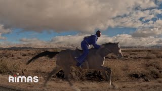 BAD BUNNY  NADIE SABE Visualizer  nadie sabe lo que va a pasar mañana [upl. by Emixam363]