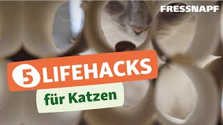 Fünf Lifehacks für das Leben mit Katzen  einfach und praktisch [upl. by Matthaus]