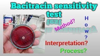 Bacitracin Sensitivity Test Microbiology [upl. by Dagmar]