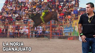 ¡Que locura de Jaripeo 20 DESTRUCTORES DE MEMO OCAMPO EN LA NORIA GUANAJUATO 29 DICIEMBRE  Jaripeo [upl. by Rooke]