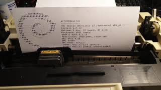 Neofetching to a glorious Epson LX300 dot matrix printer [upl. by Anaiv567]