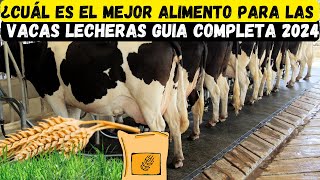 ¿Cuál es el mejor alimento para las vacas lecheras [upl. by Ryter]