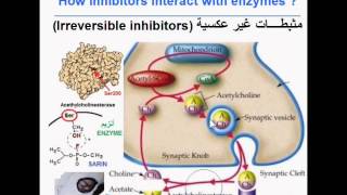 Sarin gaz an irreversible enzyme inhibitor غاز السارين مثبط أنزيمي غير عكسي [upl. by Yatnuahc]