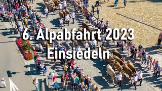 6 Alpabfahrt 2023 in Einsiedeln [upl. by Dombrowski574]