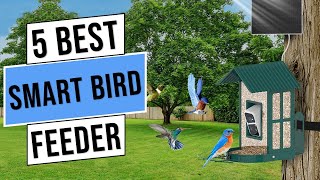 Top 5 Best Smart Bird Feeders  Best Bird Feeder Camera 2024 [upl. by Kiley53]