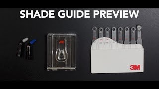 Custom Shade Guide for Teeth 3M Products [upl. by Kulseth170]