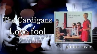 The Cardigans｢Lovefool｣ guitar cover [upl. by Alletniuq]