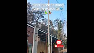 AVIARY BIRDS PARK DAMAN I jamporebeach damanbeach travel travelvlog portugal [upl. by Negyam]