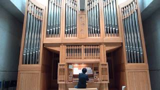 Buxtehude Toccata in F BuxWV 157 PIPE ORGAN [upl. by Ennylhsa]