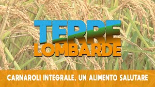 Terre Lombarde  Carnaroli Integrale un alimento salutare [upl. by Onstad]