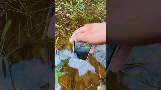 smartphone satisfying underwater nature river underwatermacro iphone ytshorts shorts [upl. by Galvin]