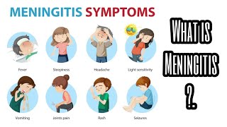 What is Meningitis  Easy Way to Prevent Meningitis animationvideo [upl. by Burg]