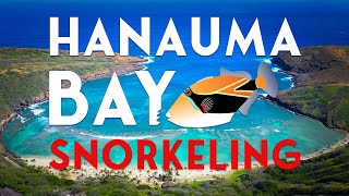 Hanauma Bay  Everything You Need to Know 2024 4K DRONE [upl. by Inaffyt]