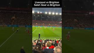 Liverpool vs Brighton highlights [upl. by Tteraj]