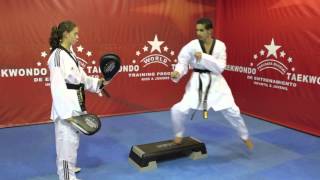 PRESENTACION DEL PROGRAMA MUNDIAL DE ENTRENAMIENTO DE TAEKWONDO [upl. by Laurena598]