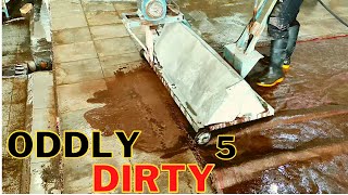 How To Washing Oddly Dirty Carpet In Carpet Cleaning  How To Wash A Dirty Carpet [upl. by Raphael]