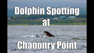 Dolphin Spotting at Chanonry Point on the Moray Firth [upl. by Kilan]