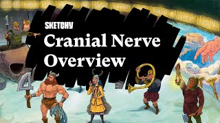 Memorizing the Cranial Nerves Full Lesson  Sketchy Medical  USMLE Step 1 [upl. by Naneek217]