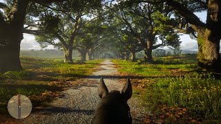 Braithwaite Manor  Beauty of Red Dead Redemption 2 [upl. by Nerwal]