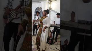 Timnit welday Ethiopian wedding live music performance habesha tigrignamusicabrahamgebremedhin [upl. by Harold]