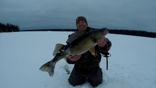 Ice Fishing Walleye – This Structure Always Holds MidWinter Walleyes… [upl. by Anniala]