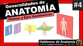 🔴 ANATOMIA 👉 PLANOS Y EJES DEL CUERPO HUMANO 🟩 ANATOMÍA GENERALIDADES 4 🟪Hablemos de Anatomía y Alg [upl. by Doownil475]