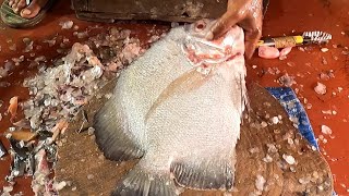 Amazing Fish Cutting Skills  Big Pomfret Fish Cutting Skills In Bangladesh [upl. by Reena]