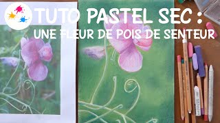 Tuto pastel sec  une fleur de pois de senteur [upl. by Williamsen504]