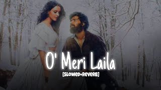 O Meri Laila  Radio version full song lofi slowedreverb  Laila Majanu omerilaila lailamajnu [upl. by Richella]