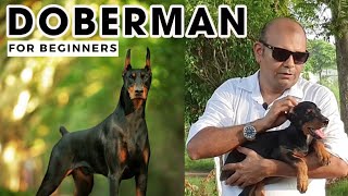 Best DOBERMAN Pinscher  The Guard amp Watch Dog Facts  Smartest Dog in the World  Baadal Bhandaari [upl. by Keeryt]