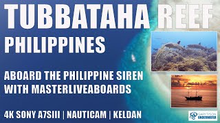 4K Tubbataha Reef Philippines Scuba diving aboard the Philippines Siren liveaboard in June 2024 [upl. by Nnairrek]