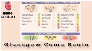 Glasgow Coma Scale  GCS  Level Of Consciousness  Being Medic [upl. by Ahsimed628]