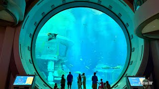 MASSIVE Aquarium in the World amp Underwater Escalators [upl. by Allemat]