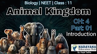 Animal Kingdom Class 11 Biology CH4 NCERT  Classification Of Animals Animated Video3D English L1 [upl. by Rawlinson]