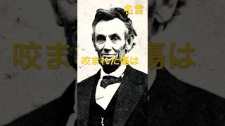 【名言集Vol146】第16代アメリカ合衆国大統領 エイブラハム・リンカーンAbraham Lincoln 名言 格言 大統領 アメリカ 政治 政府 法律 国会 代表 国 [upl. by Sucramaj]