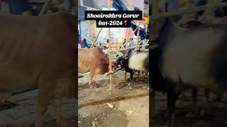 Gorur hat 2024 foryou food gorur gorurvideo gorurhat2024 gorur gorurdam [upl. by Acinat118]