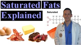 Saturated Fat Explained Made Easy to Understand [upl. by Ydnas]